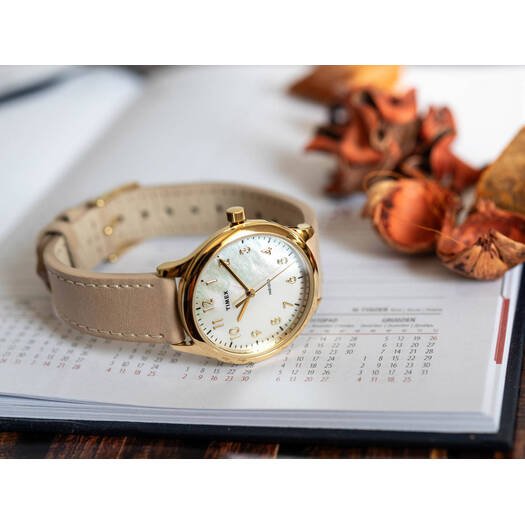 Laikrodis moterims TIMEX TW2W15800 MODERN EASY READER - INDIGLO + BOX