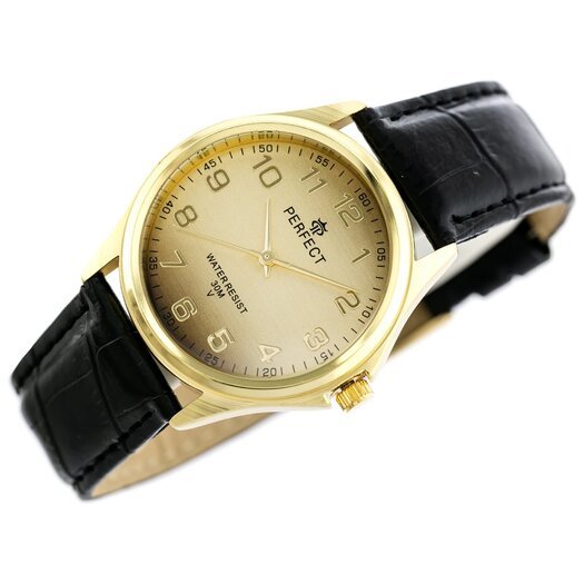 Laikrodis vyrams PERFECT C425 - KLASYKA (zp284d)