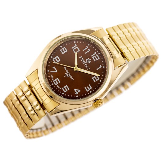 Laikrodis vyrams PERFECT X018 (zp330e) 